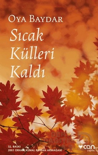 Sıcak Külleri Kaldı