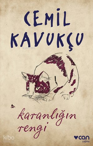Karanlığın Rengi