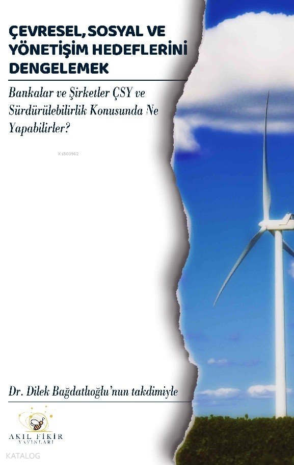Çevresel, Sosyal Ve Yönetişim Hedeflerini Dengelemek