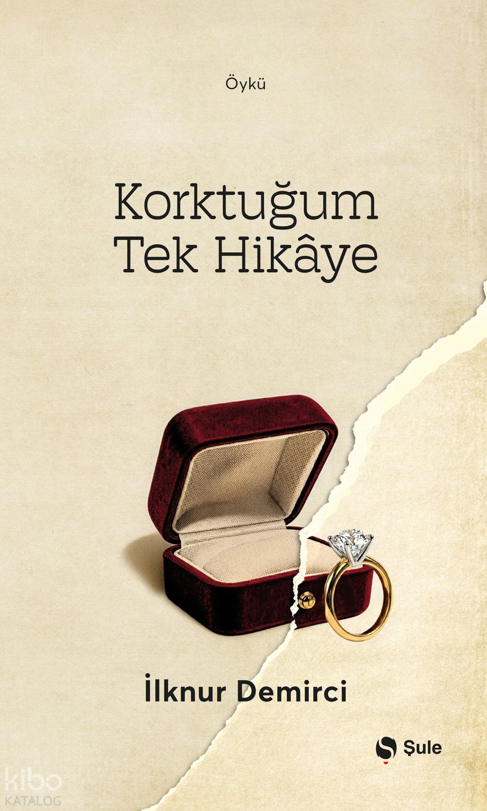Korktuğum Tek Hikâye - İlknur Demirci