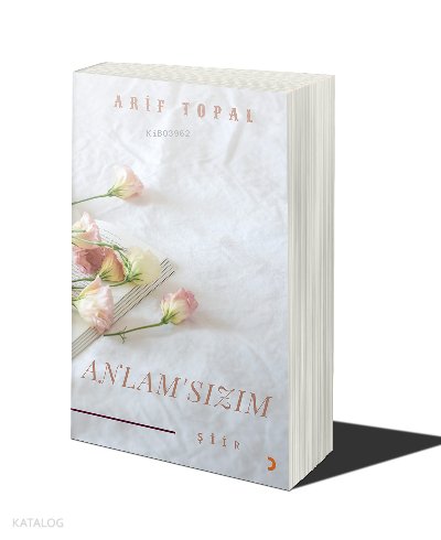 Anlamsızım - Arif Topal