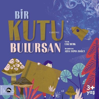 Bir Kutu Bulursan