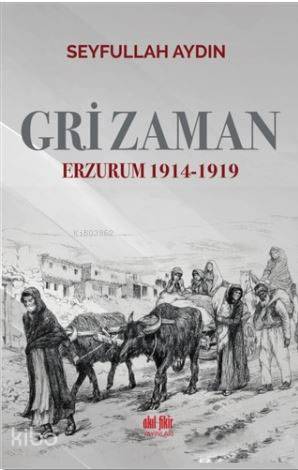 Gri Zaman - Seyfullah Aydın