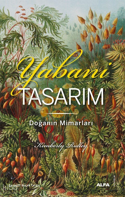 Yabani Tasarım - Kimberly Ridley