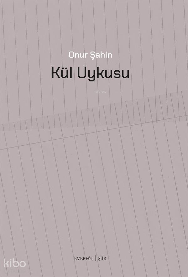 Kül Uykusu - Onur Şahin