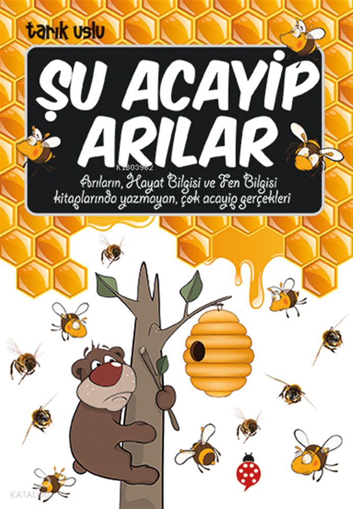 ŞU ACAYİP ARILAR