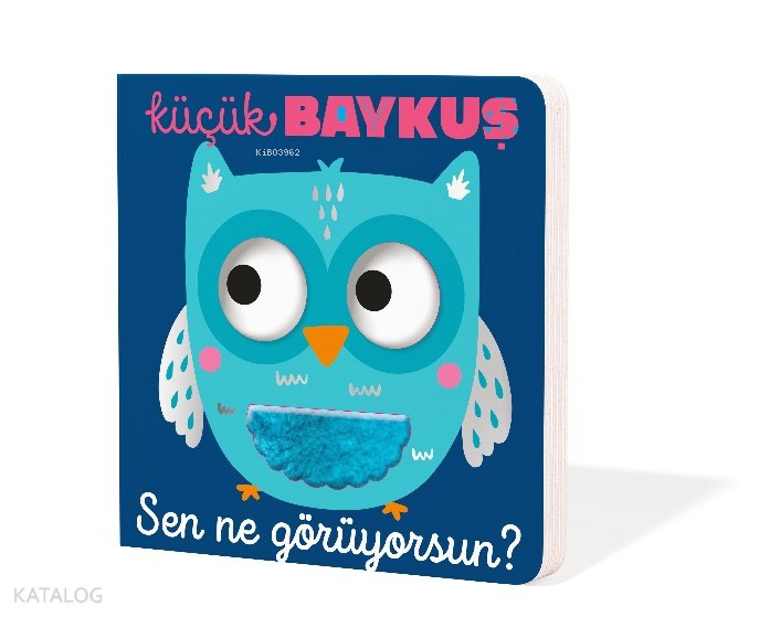 Küçük Baykuş Sen Ne Görüyorsun - Kolektif