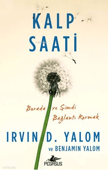 Kalp Saati - Irvin D. Yalom