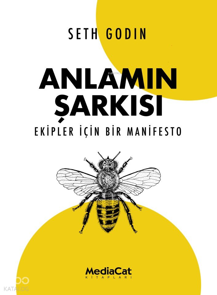 Anlamın Şarkısı - Seth Godin