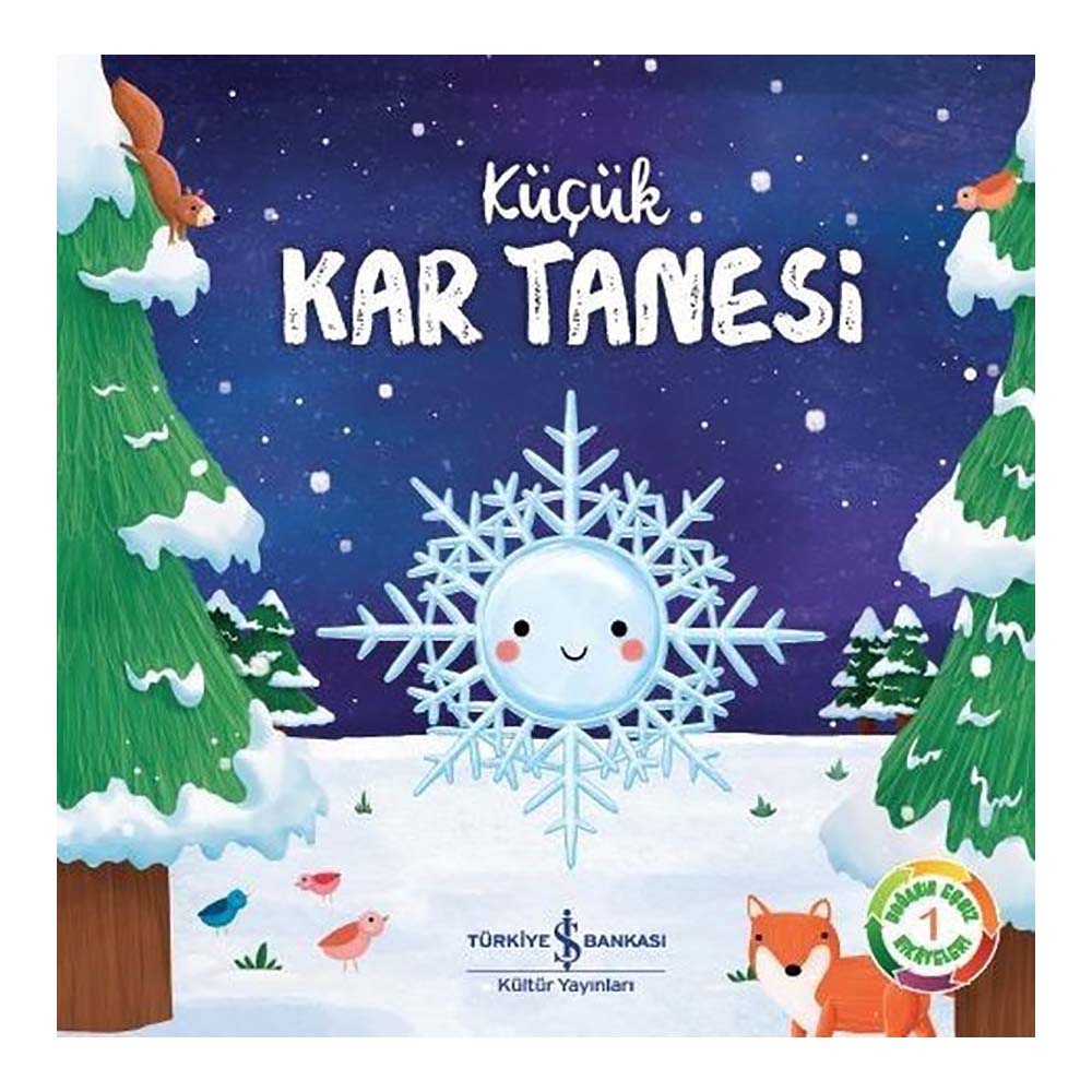 KÜÇÜK KAR TANESİ