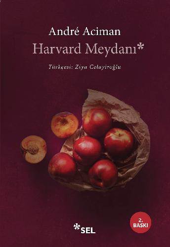 Harvard Meydanı