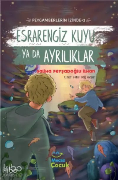 Esrarengiz Kuyu ya da Ayrılıklar - Saliha Ferşadoğlu İlhan