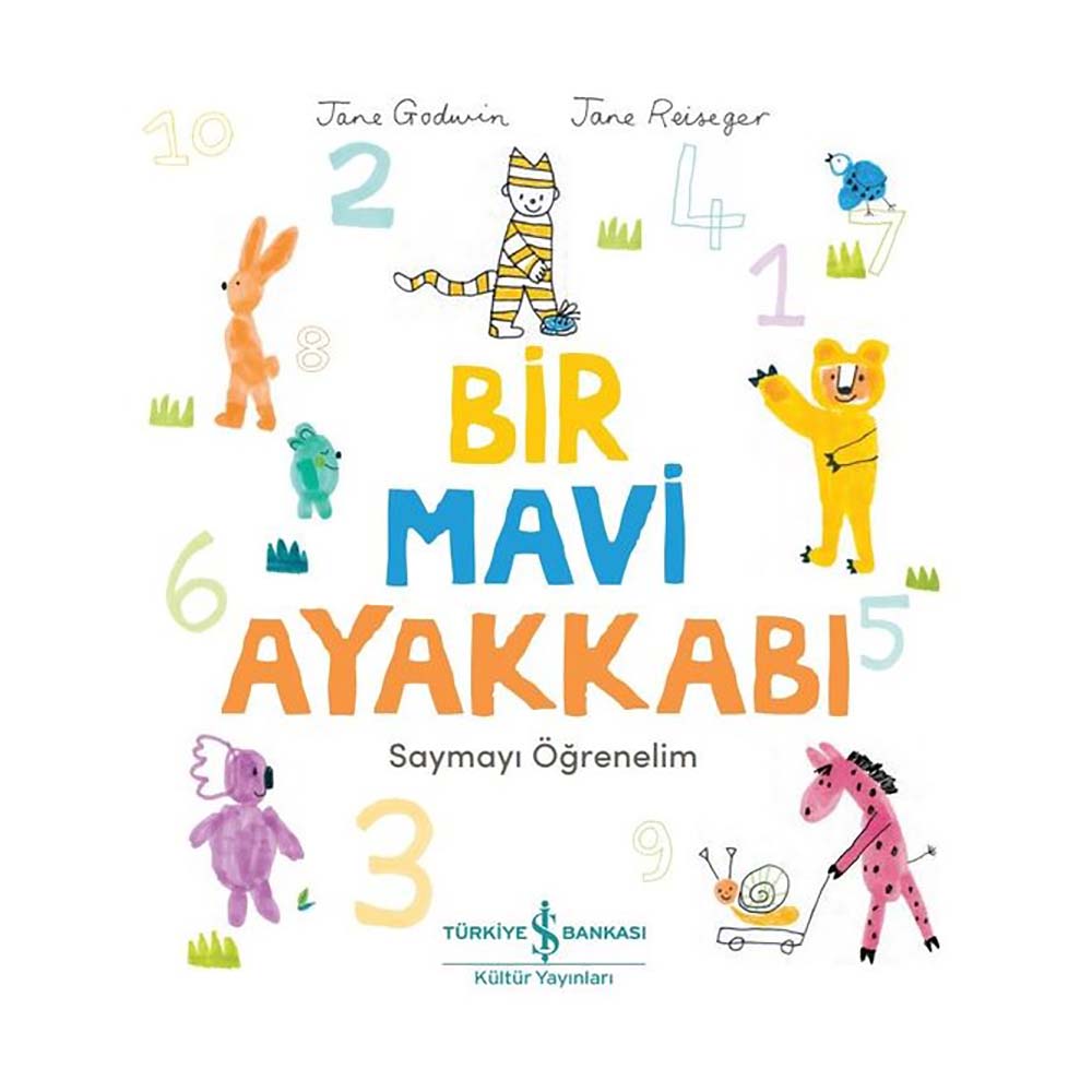 BİR MAVİ AYAKKABI