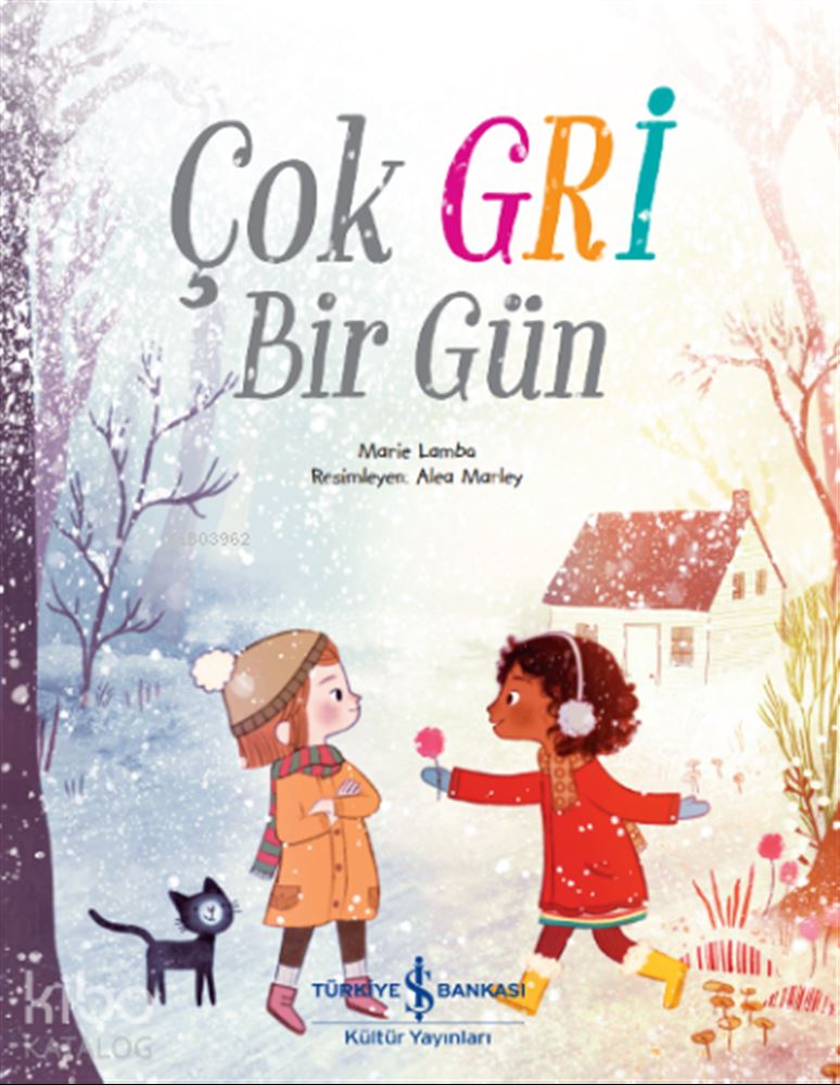 ÇOK GRİ BİR GÜN