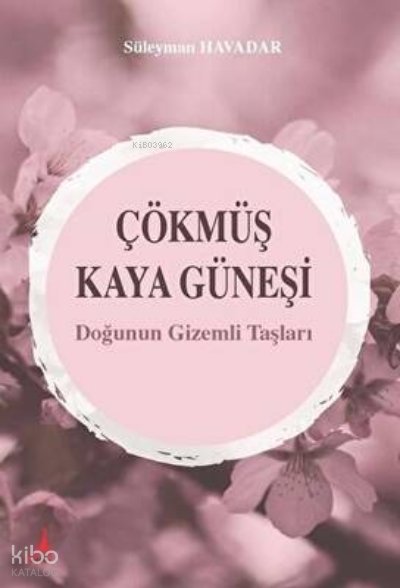 Çökmüş Kaya Güneşi - Süleyman Havadar