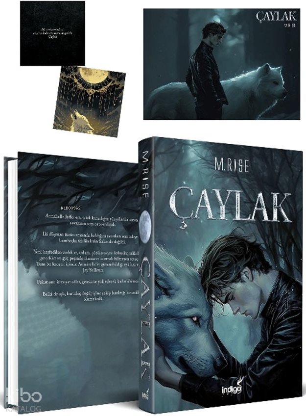 Çaylak (Ciltli) - M. Rise
