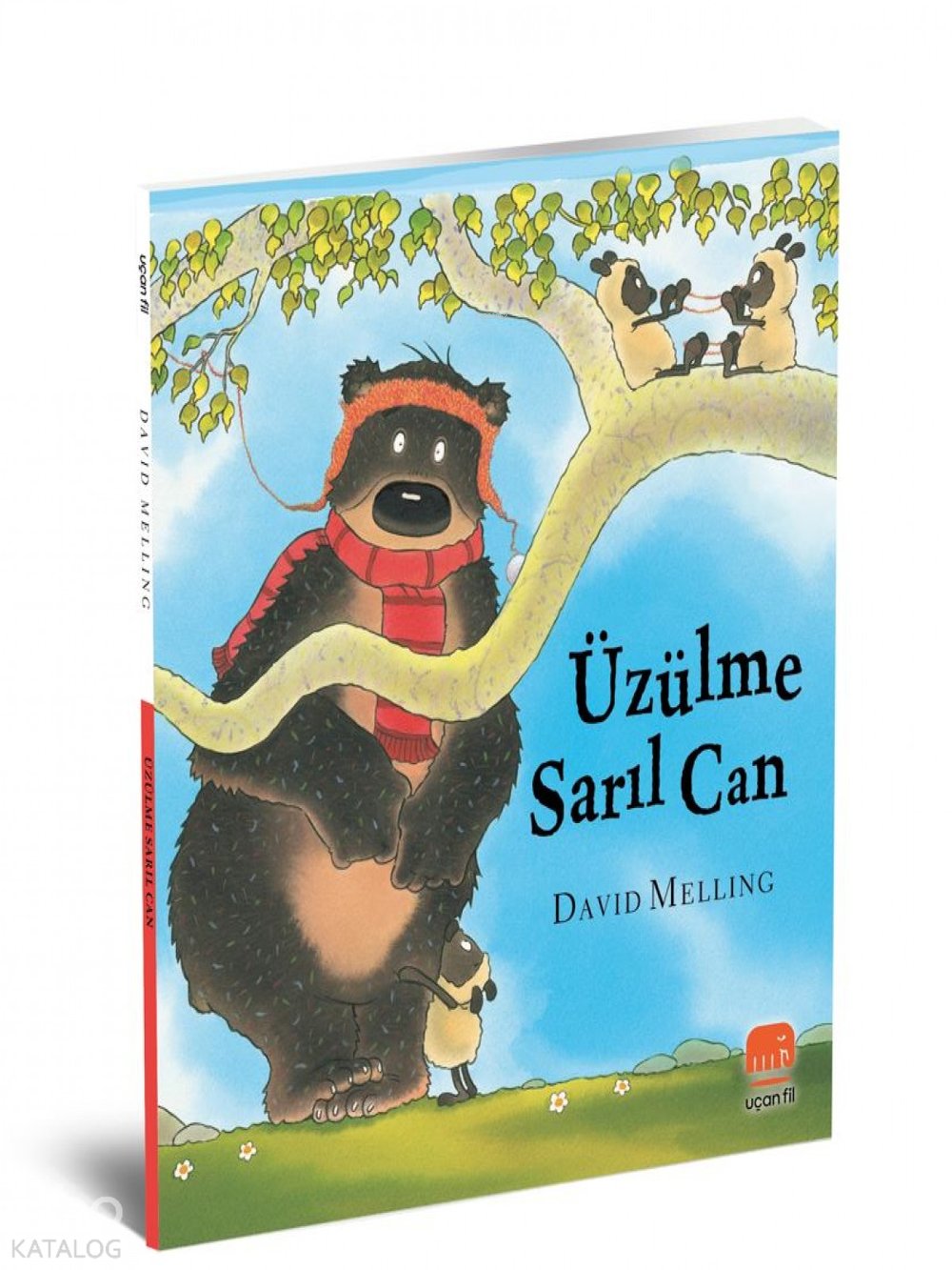 Üzülme Sarıl Can