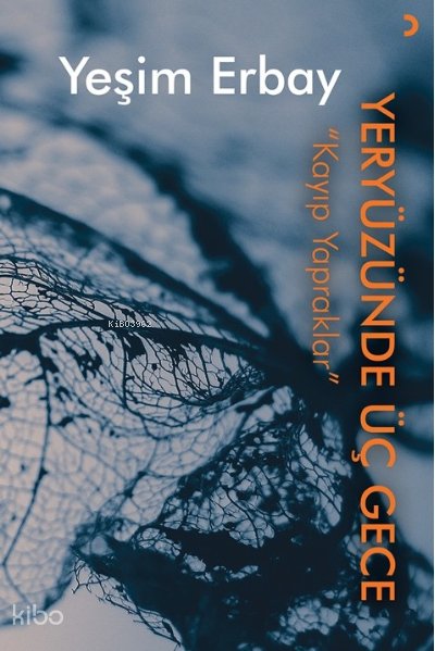 Yeryüzünde Üç Gece