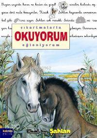 Çıkartmalarla Okuyorum Eğleniyorum - Delphine Lacharron