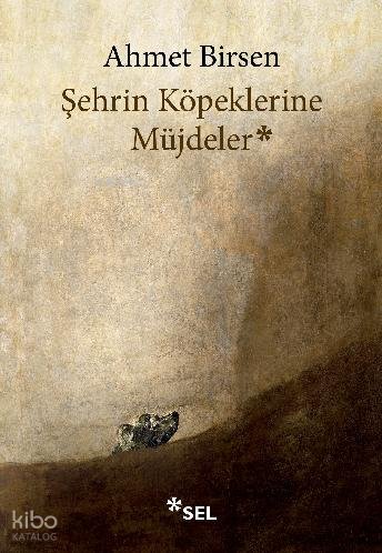 Şehrin Köpeklerine Müjdeler