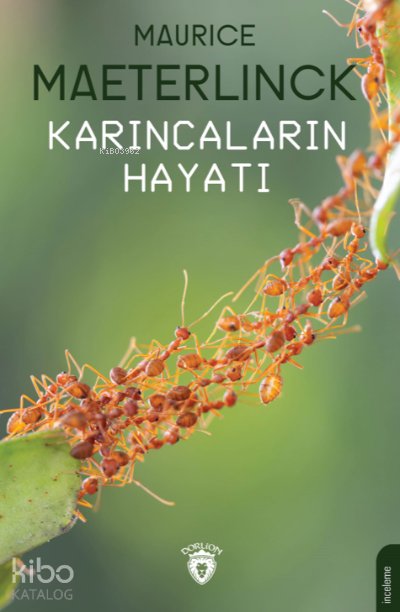 Karıncaların Hayatı - Maurice Maeterlinck