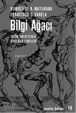 Bilgi Ağacı