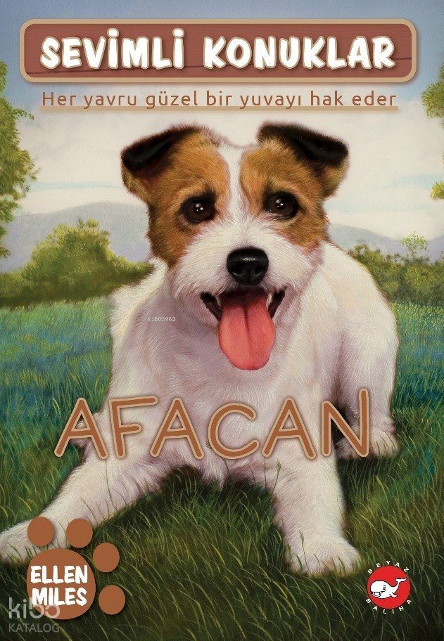 Afacan