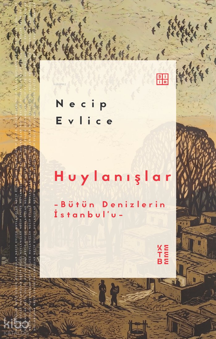 Huylanışlar