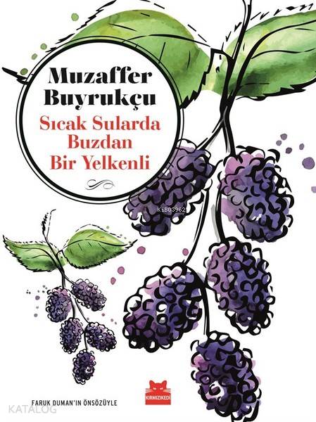 Sıcak Sularda Buzdan Bir Yelkenli - Muzaffer Buyrukçu