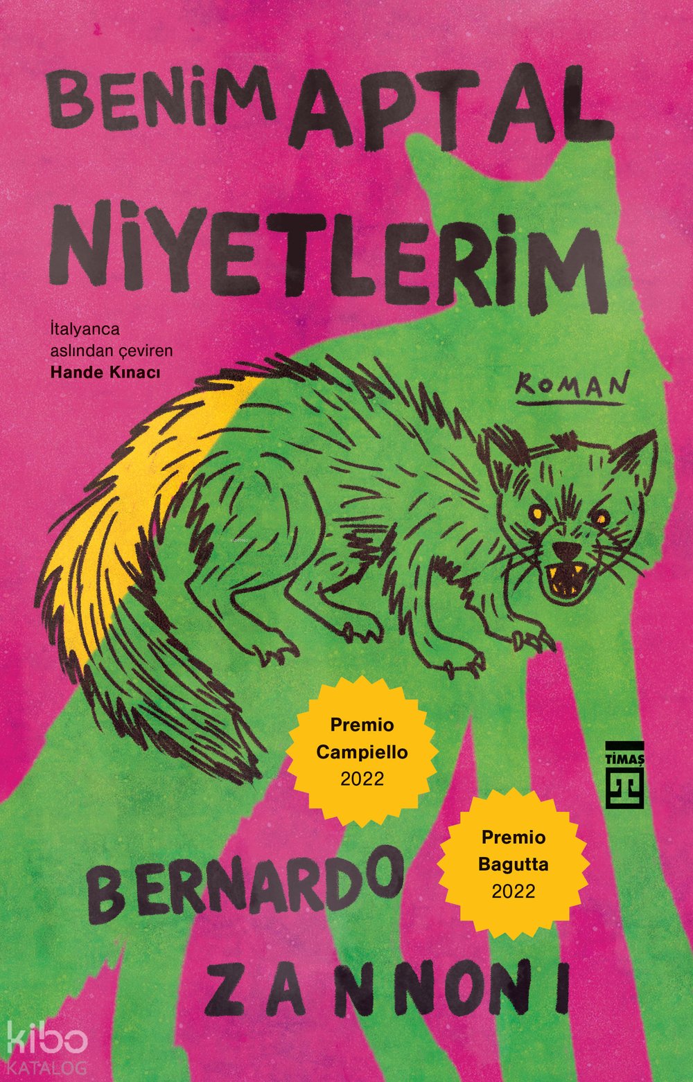 Benim Aptal Niyetlerim