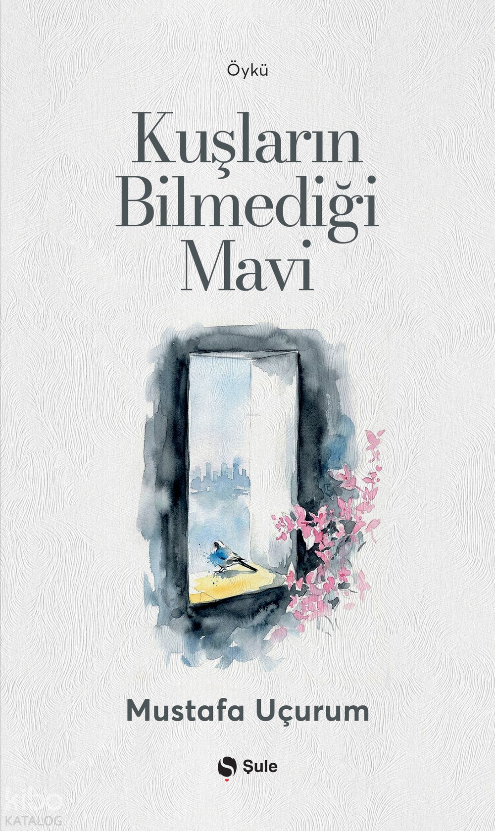 Kuşların Bilmediği Mavi - Mustafa Uçurum