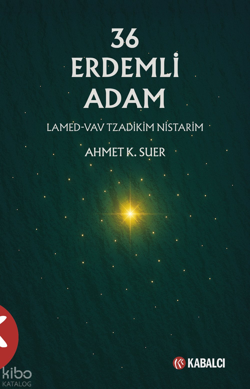 36 Erdemli Adam