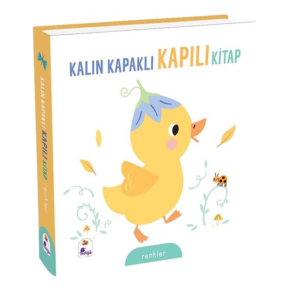 KALIN KAPAKLI KAPILI KİTAP - RENKLER