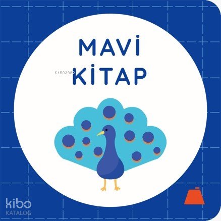 Mavi Kitap