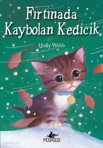 Fırtınada Kaybolan Kedicik