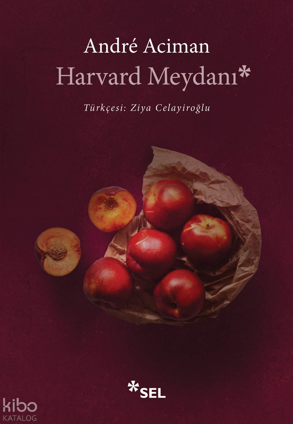 Harvard Meydanı - André Aciman
