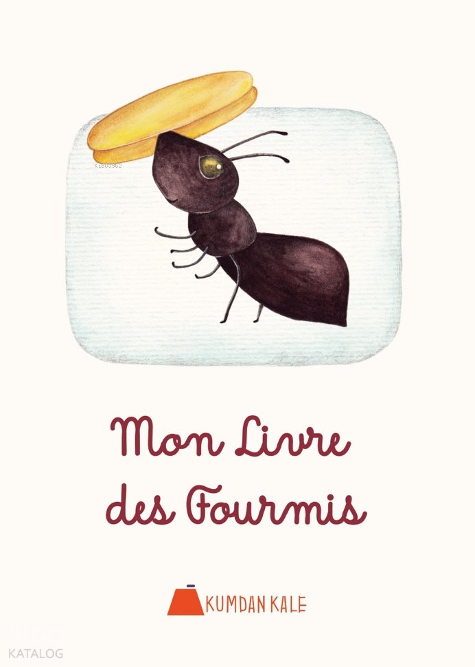 Mon Livre des Fourmis - Işıl Erverdi