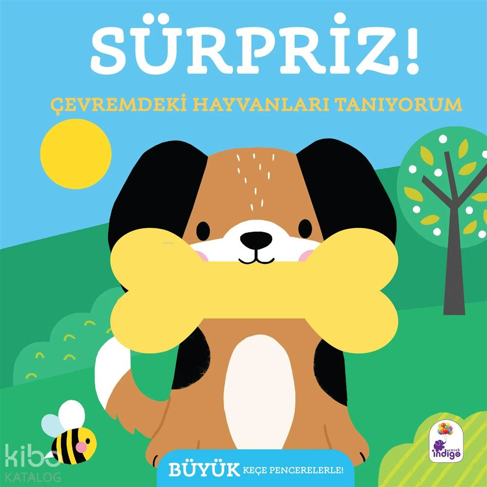 SÜRPRİZ - ÇEVREMDEKİ HAYVANLARI TANIYORUM