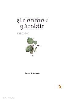 Şiirlenmek Güzeldir - Recep Karaaslan
