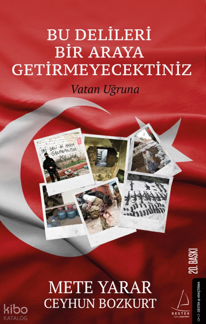 Bu Delileri Bir Araya Getirmeyecektiniz - Ceyhun Bozkurt