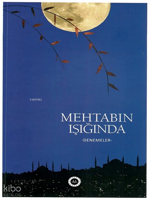 Mehtabın Işığında -Denemeler