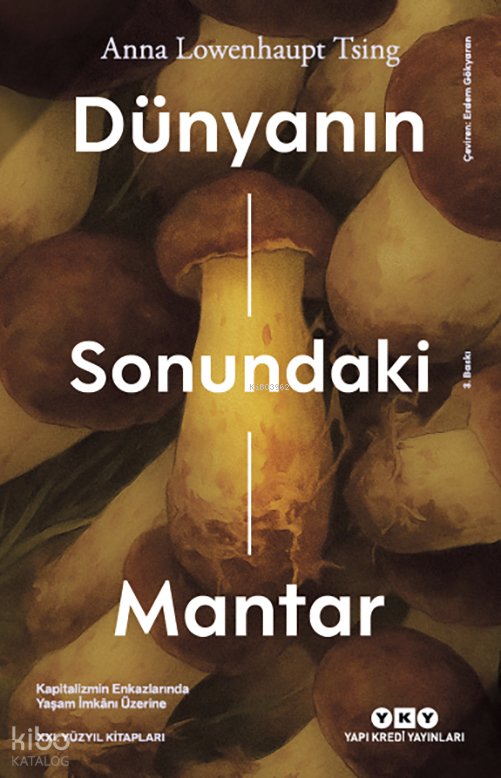 Dünyanın Sonundaki Mantar