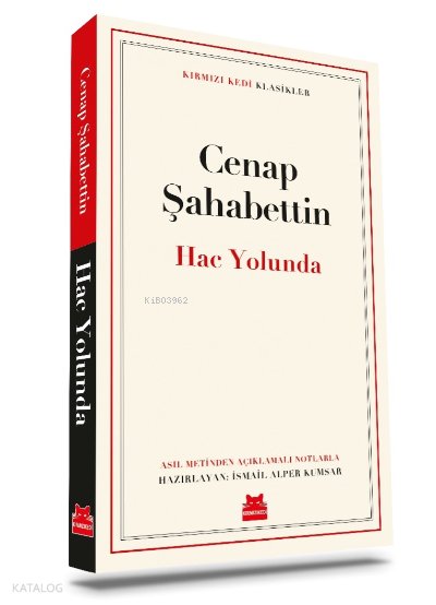Hac Yolunda - Cenap Şahabettin