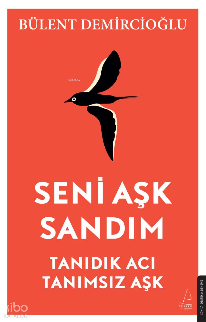 Seni Aşk Sandım - Bülent Demircioğlu