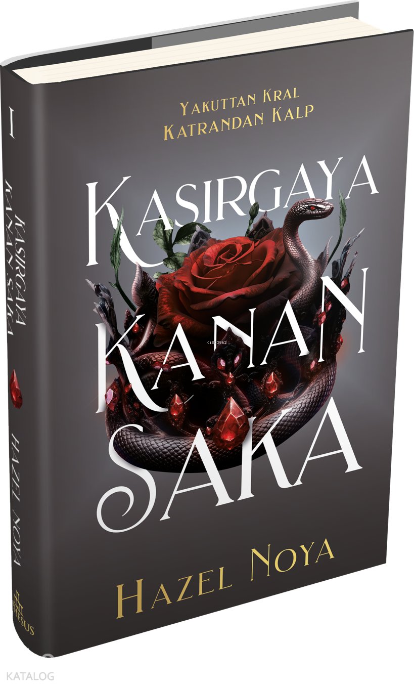 Kasırgaya Kanan Saka 1 (Ciltli) - Hazel Noya