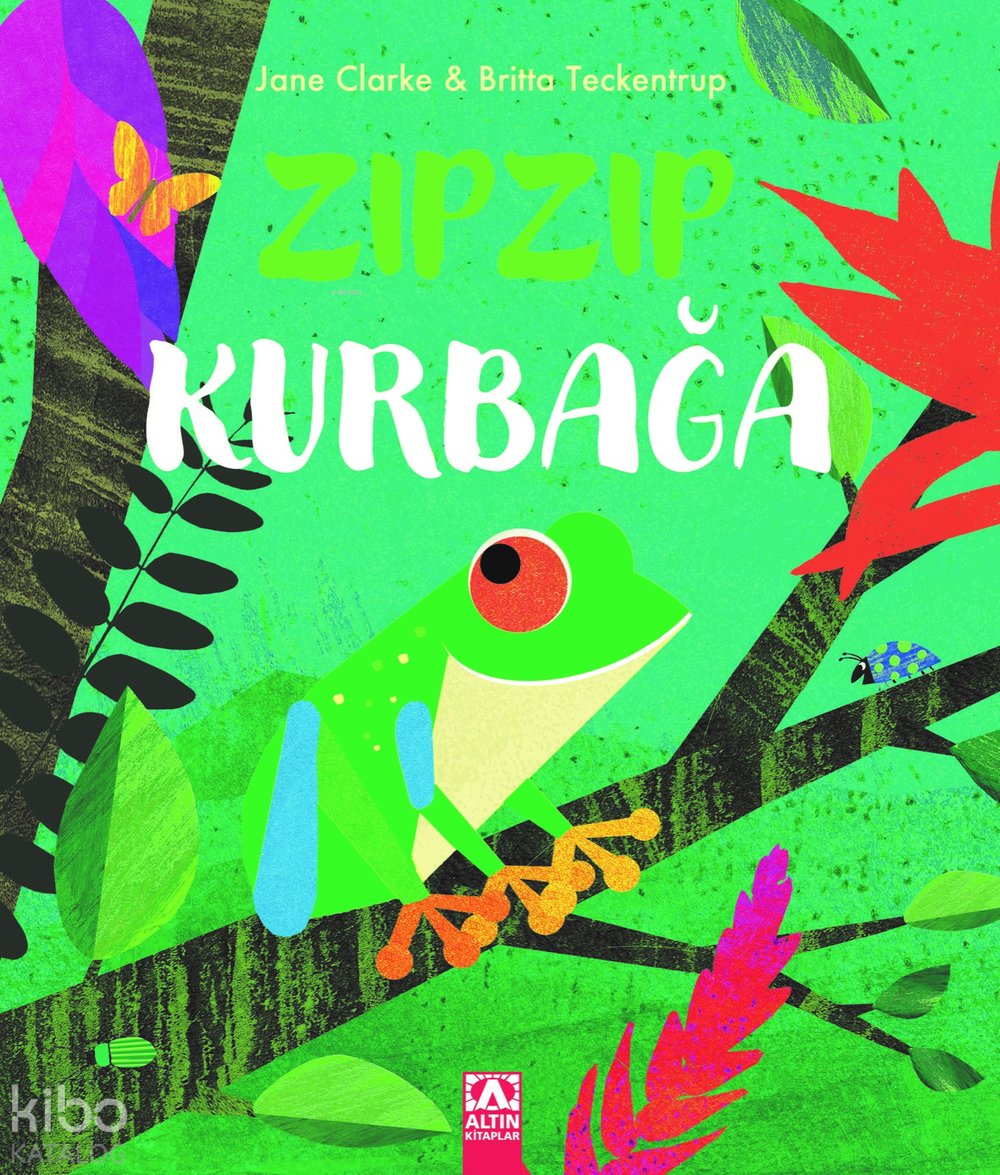 Zıplayan Kurbağa - Britta Teckentrup