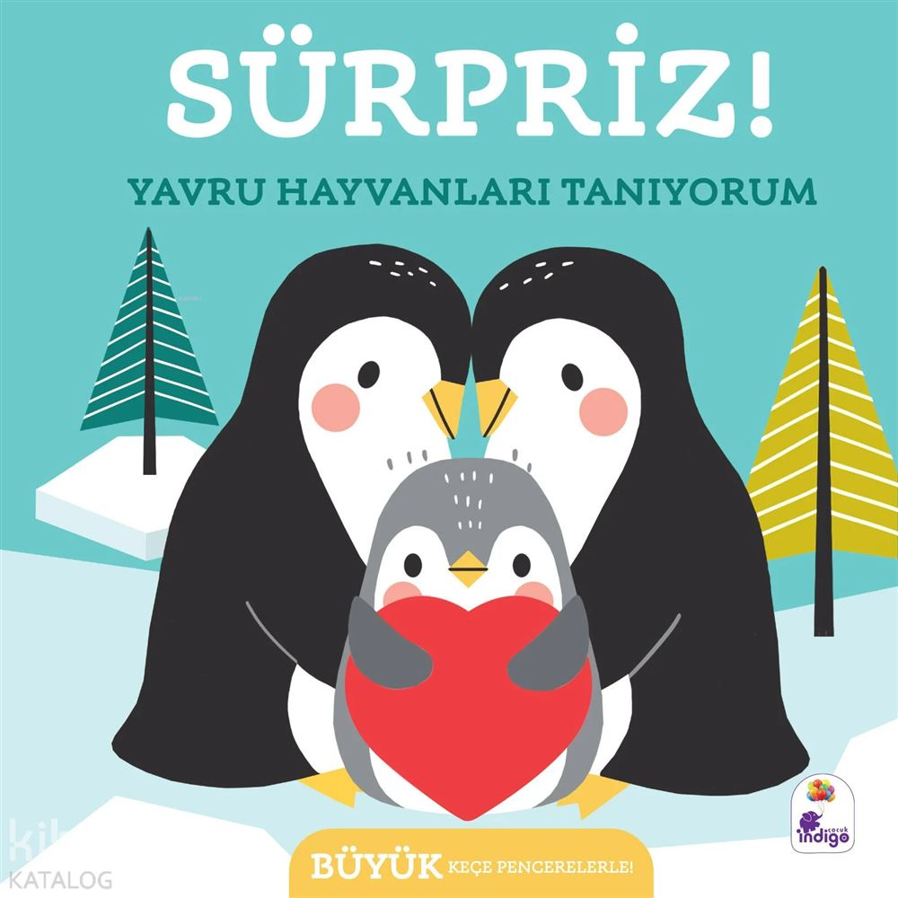 SÜRPRİZ - YAVRU HAYVANLARI TANIYORUM