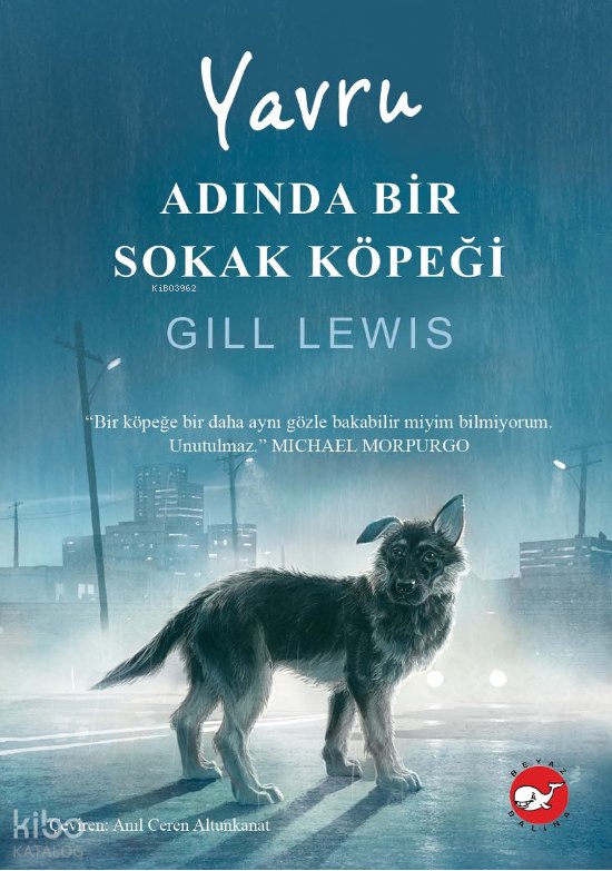 Yavru Adında Bir Sokak Köpeği - Gill Lewis