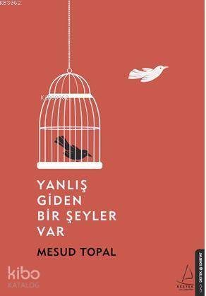 Yanlış Giden Bir Şeyler Var - Mesud Topal