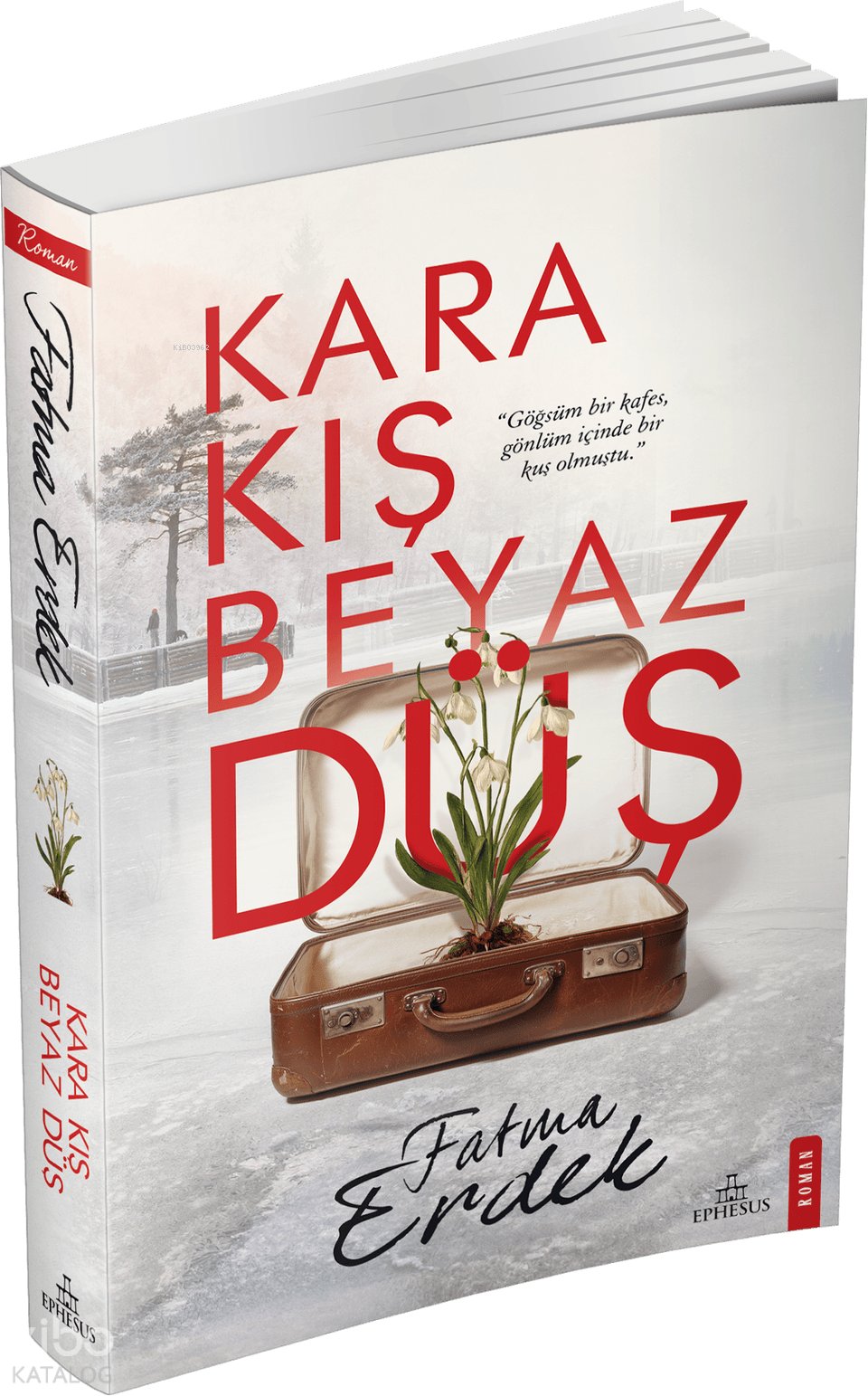 Kara Kış Beyaz Düş